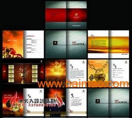 VIS品牌策劃與設計服務 從標志到畫冊、包裝的全面解決方案